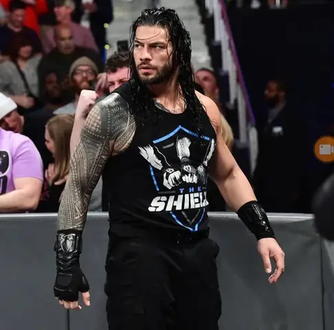 Tại Sao Con Chó Sủa Gâu Gâu? Giải Mã Ngôn Ngữ Giao Tiếp Đa Chiều Của Loài Chó