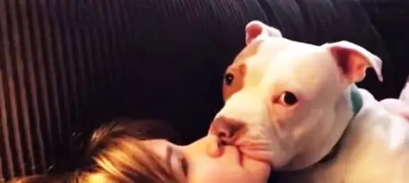 Nhiều Bạn Gái Muốn Nuôi Một Chú Chó Để Bầu Bạn, Nhưng Thay Vì Chọn Chó Cái Thì Hầu Hết Con Gái Sẽ Nuôi Chó Đực. Thực Tế Thì Con Gái Nuôi Chó Đực Sẽ Tốt Hơn Nuôi Chó Cái, Bạn Có Biết Tại Sao Không? Chúng Ta Hãy Cùng Nhau Xem Nhé