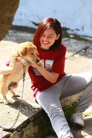 Giáng Sinh Có Nên Ăn Thịt Chó?