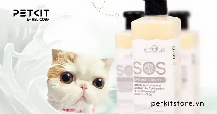 Hậu Quả Khôn Lường Khi Lạm Dụng Nước Rửa Bát Để Tắm Chó