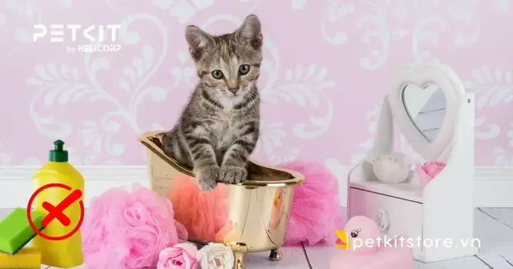 Tại Sao Nước Rửa Bát Không Phù Hợp Với Da Chó?