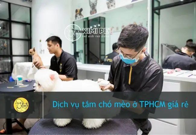 【bật Mí】 Top 10 Dịch Vụ Tắm Chó Tphcm Chất Lượng Tốt Nhất