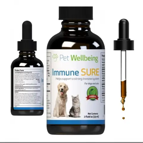 Cách Tăng Sức Đề Kháng Cho Chó: Hướng Dẫn Khoa Học Từ Chuyên Gia