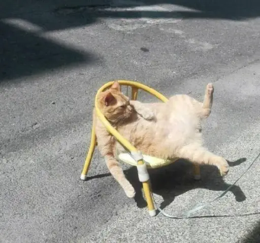 Tối Ưu Hóa Kể Chuyện Qua Ảnh Đại Diện