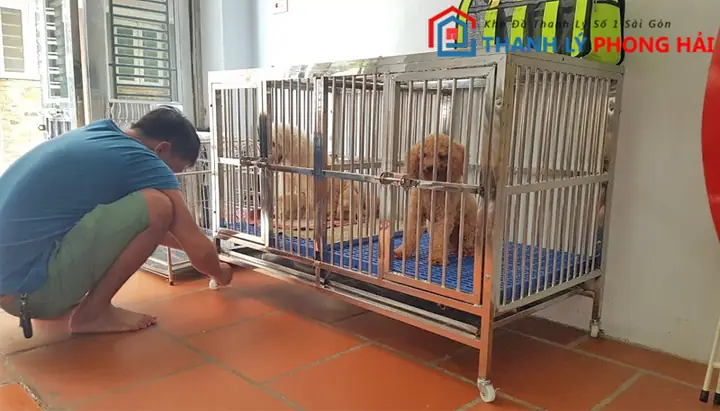 Thanh Lý Chuồng Chó Cần Thơ: Nên Mua Ở Đâu Và Làm Sao Chọn Được Sản Phẩm Chất Lượng? Thanh Lý Chuồng Chó Cần Thơ: Nên Mua Ở Đâu Và Làm Sao Chọn Được Sản Phẩm Chất Lượng?