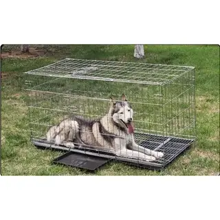 Thanh Lý Chuồng Chó Sơn Tĩnh Điện: Có Nên Mua Và Cách Chọn Sản Phẩm Chất Lượng?