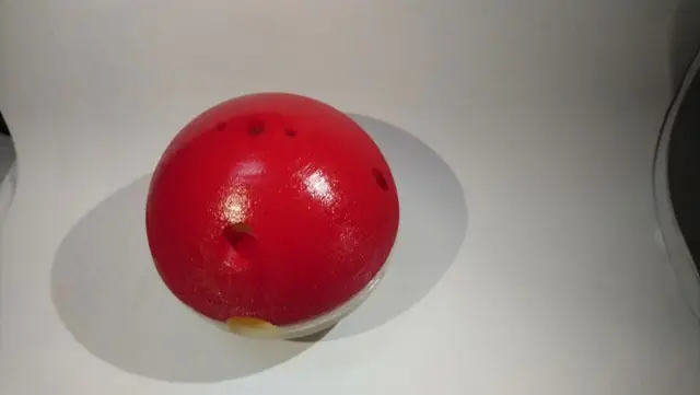 Những Con Chó Lùi Lại Dần Và Bỏ Chạy