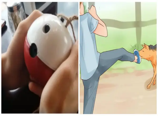 Thiết Bị Chống Chó Cắn: Giải Pháp Bảo Vệ Hiệu Quả Và Tiên Tiến