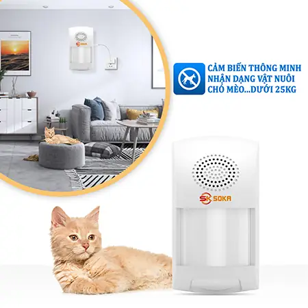 Các Thiết Bị Chống Trộm Chó: Lựa Chọn & Giải Pháp Hiệu Quả