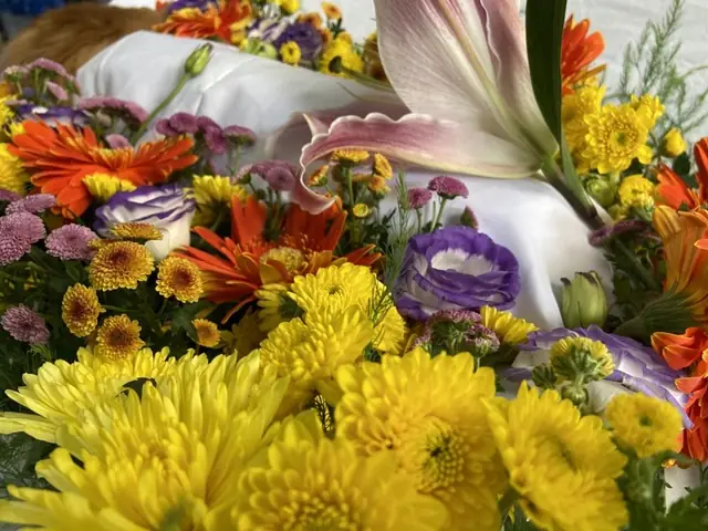 Thiêu Chó Mèo Ở Đâu Uy Tín, Giá Tốt Nhất Tại Tphcm?