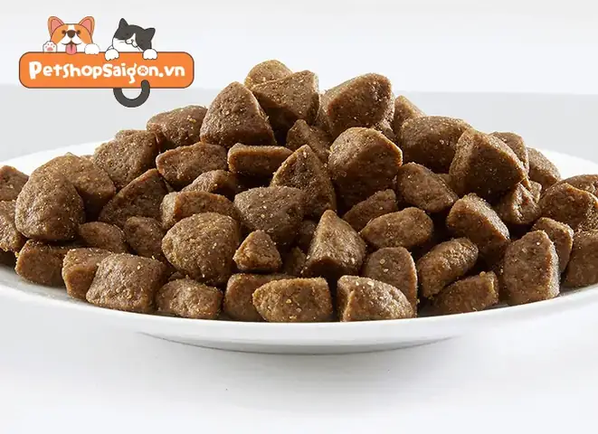 Lưu Ý 3 Không Để Mua Đúng Thức Ăn Cho Chó Bao 50kg Chất Lượng Lưu Ý 3 Không Để Mua Đúng Thức Ăn Cho Chó Bao 50kg Chất Lượng