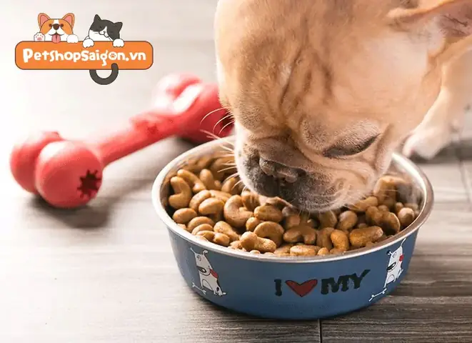 Cách Để Bảo Quản Thức Ăn Cho Chó Bao 50kg Cách Để Bảo Quản Thức Ăn Cho Chó Bao 50kg