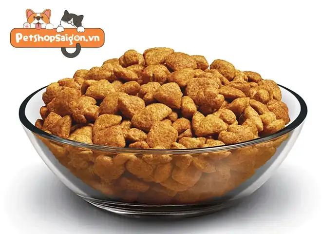 Cách Phân Biệt Thức Ăn Cho Chó Thật Và Nhái