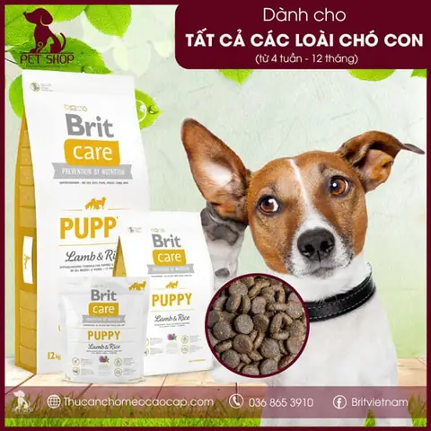 Thức Ăn Cho Chó Brit Care