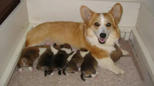 Sữa Và Các Loại Sản Phẩm Từ Sữa