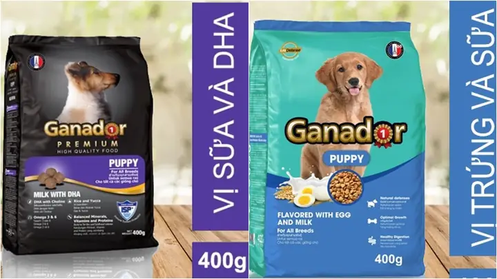 Dành Cho Chó Con Cai Sữa Ganador Puppy