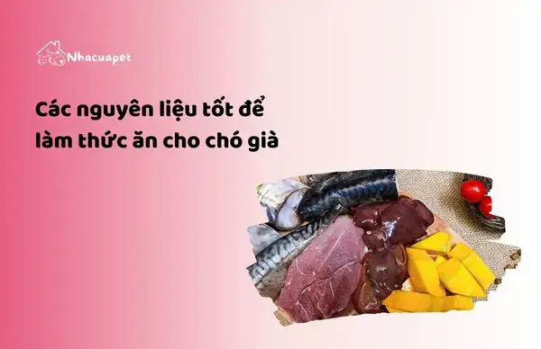 Các Nguyên Liệu Tốt Để Làm Thức Ăn Cho Chó Già Các Nguyên Liệu Tốt Để Làm Thức Ăn Cho Chó Già