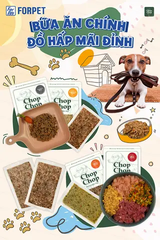 Chất Đạm Rất Cần Thiết Có Trong Chế Độ Ăn Cho Chó Golden