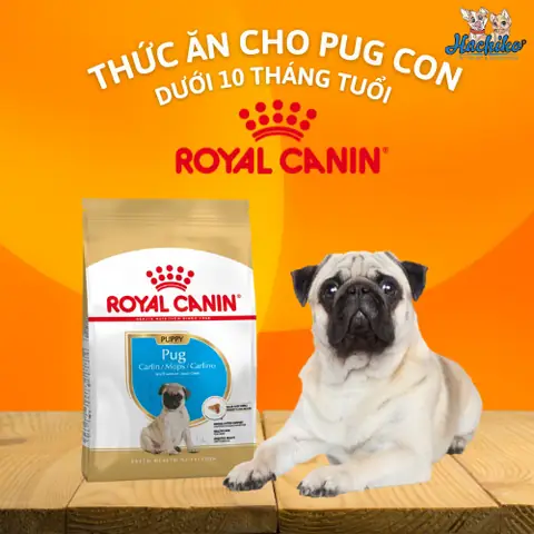 Thức Ăn Cho Chó Pug Con