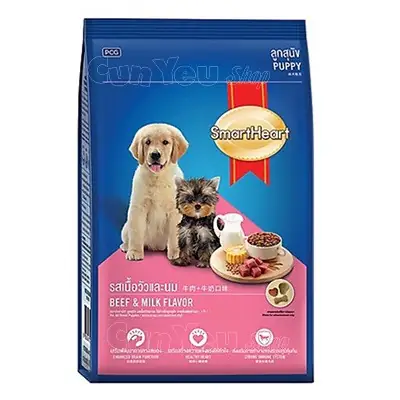 Thức Ăn Cho Chó Puppy: Hướng Dẫn Chọn Dinh Dưỡng Phù Hợp Cho Chó Con Từ 3–12 Tháng