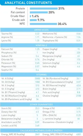 Thức Ăn Cho Chó Royal Canin Mini Junior Thức Ăn Cho Chó Royal Canin Mini Junior