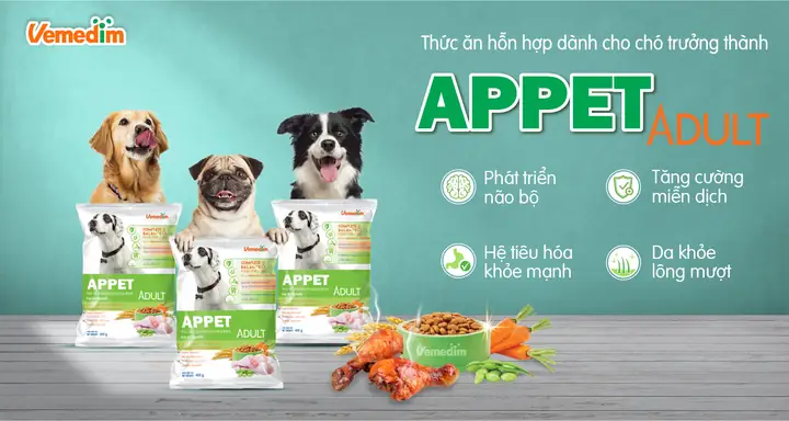 Thức Ăn Cho Chó Trưởng Thành