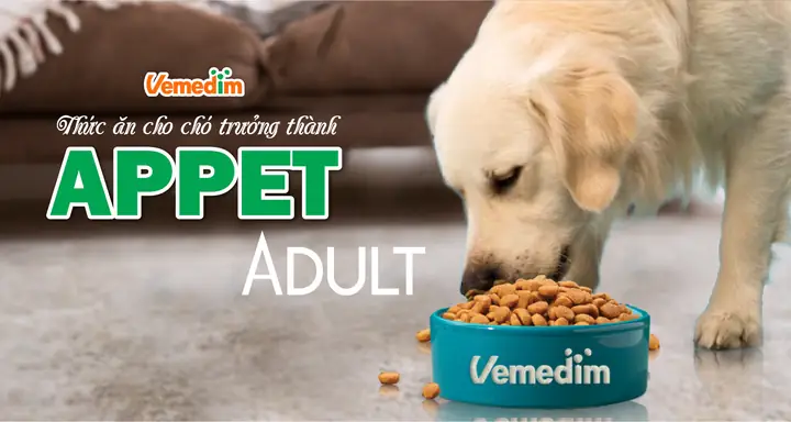 Thức Ăn Cho Chó Trưởng Thành