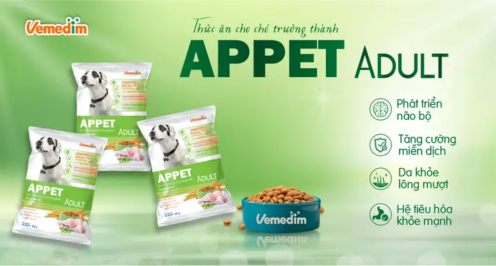 Thức Ăn Cho Chó Trưởng Thành