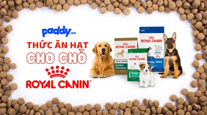 Tìm Hiểu Về Thức Ănroyal Canincho Chó