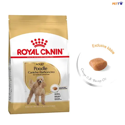 Thức Ăn Huấn Luyện Chó Lớn Royal Canin Adult
