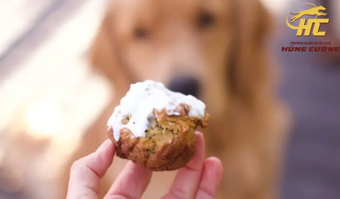 Loại Thức Ăn Dùng Để Huấn Luyện Chó Hiệu Quả