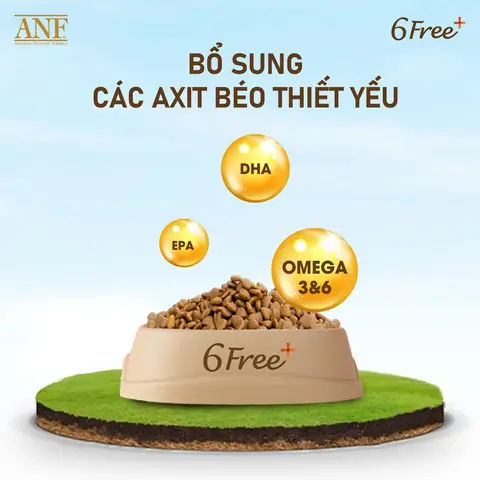 Thức Ăn Hạt Anf Cho Chó