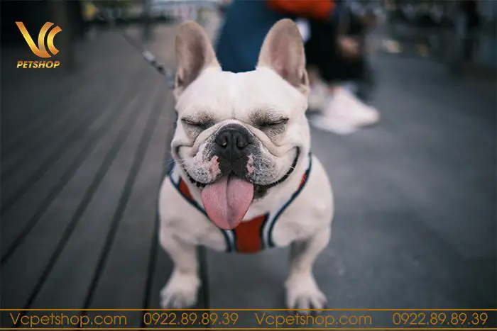 Hương Vị Và Kích Thước Hạt: