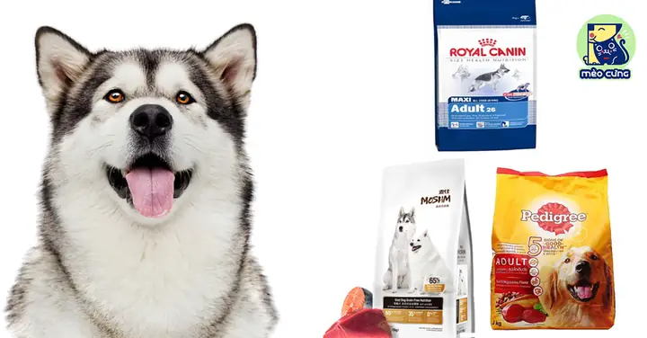 Thức Ăn Hạt Cho Chó Alaska