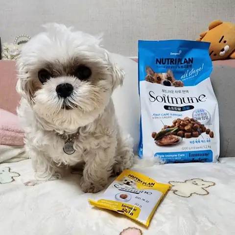 Thức Ăn Hạt Mềm Cho Chó Là Gì?