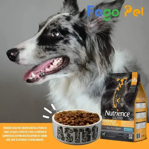 Top Các Thương Hiệu Thức Ăn Khô Cho Chó Husky Được Đề Xuất