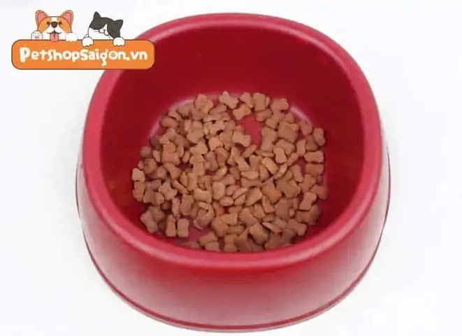 Thức Ăn Mềm Cho Chó: Hướng Dẫn Chi Tiết Từ Chuyên Gia Thức Ăn Mềm Cho Chó: Hướng Dẫn Chi Tiết Từ Chuyên Gia