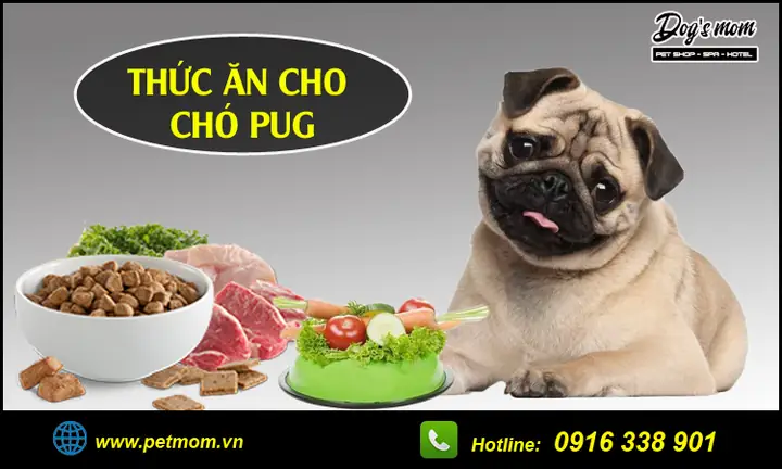 Thức Ăn Tươi Cho Chó Tphcm: Hướng Dẫn Chọn Mua Và Chế Biến An Toàn