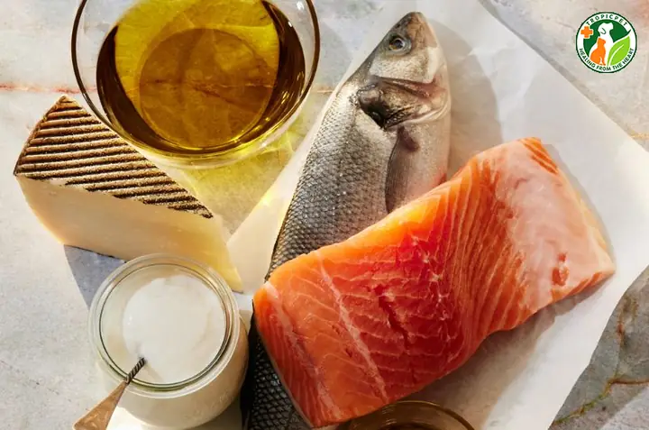 Thực Phẩm Bổ Sung Chất Béo