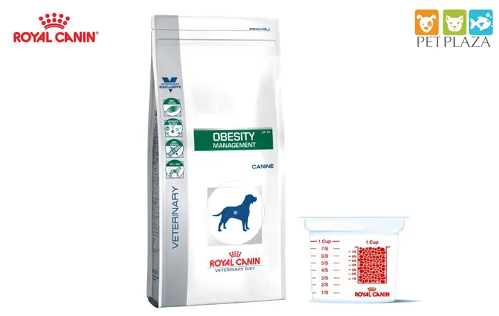 Thực Đơn Giảm Cân Cho Chó Béo Phì Và Cách Kiểm Soát Cân Nặng