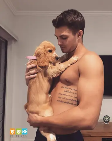 Thực Đơn Giảm Cân Cho Chó Béo Phì Và Cách Kiểm Soát Cân Nặng