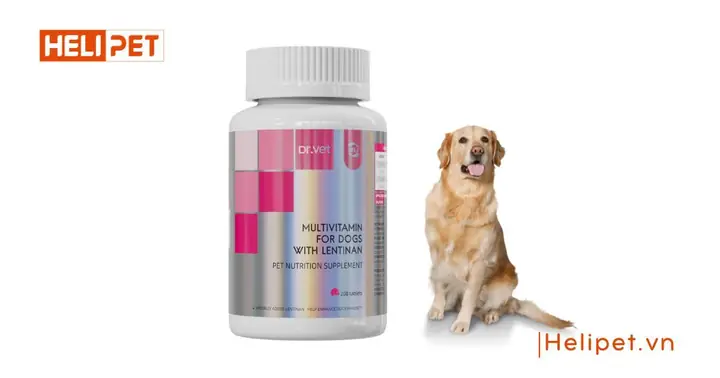 1vitamin Tổng Hợp Cho Chó Nhà Dr.vet Chứa Lentinan