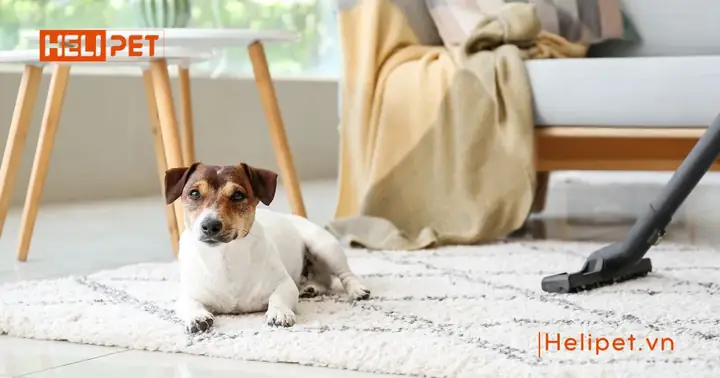 Vệ Sinh Môi Trường