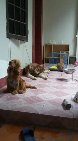 08da5a64-9ac9-4971-8da1-9ca26f1d2061 08da5a64-9ac9-4971-8da1-9ca26f1d2061