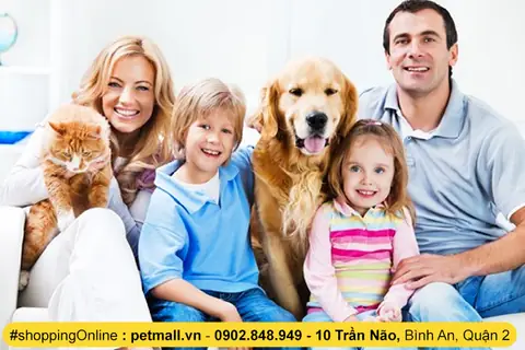 Thuốc Dưỡng Lông Cho Chó