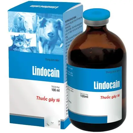 Thuốc Gây Tê Cho Chó: Khi Nào Cần Dùng Và Cách Sử Dụng An Toàn