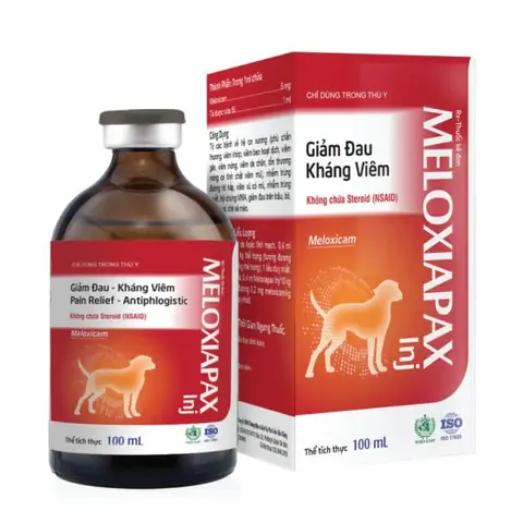 Thuốc Giảm Đau Kháng Viêm Cho Chó: Cần Biết Gì?