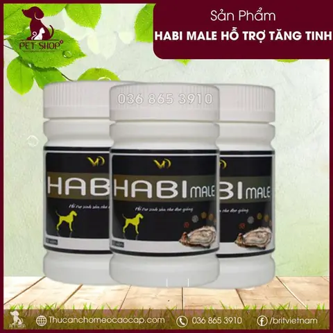 Habi Male Tăng Tinh Chó Đực
