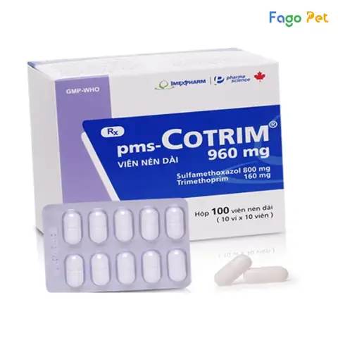Thuốc Điều Trị Ký Sinh Trùng Máu Ở Chó Cotrim Thuốc Điều Trị Ký Sinh Trùng Máu Ở Chó Cotrim