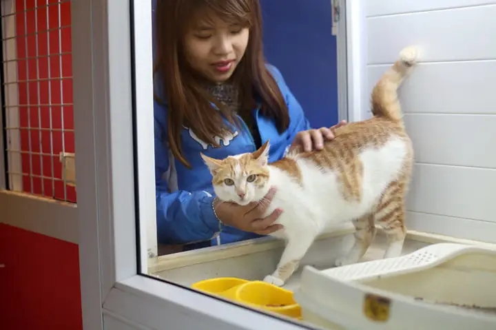 Hướng Dẫn Sử Dụng Thuốc Ngủ Seduxen Cho Chó: Cách Dùng, Liều Dùng Và Lưu Ý An Toàn Hướng Dẫn Sử Dụng Thuốc Ngủ Seduxen Cho Chó: Cách Dùng, Liều Dùng Và Lưu Ý An Toàn